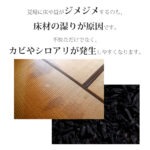 出雲カーボン 炭八 調湿木炭 床下用